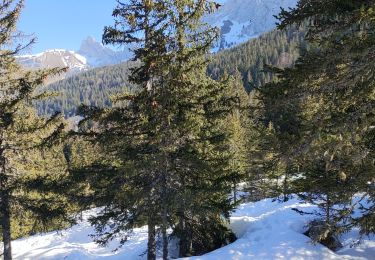 Percorso Racchette da neve Villard-de-Lans - Vilard de Lans 2022 - Photo