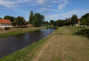 Excursión A pie Holýšov - [Č] Stod - Holýšov - Photo