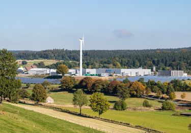 Excursión A pie Altenbeken - Zugangsweg Hermannshöhen - Schwaney - Photo