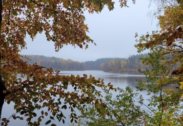 Trail Walking Florenville - rando les epioux 31-10-2023 - Photo