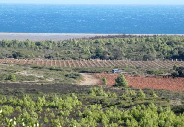 Trail Walking Fleury - Oustalet à Salnt Pierre la Mer - Domaine de Laquirou - Photo