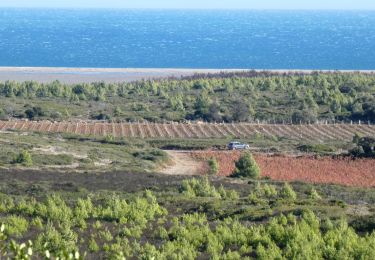 Randonnée Marche Fleury - Oustalet à Salnt Pierre la Mer - Domaine de Laquirou - Photo