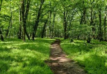 Tocht Mountainbike Le Brethon - rouge et noir - Photo