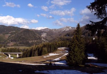 Tocht Te voet Turnau - Gamssteig - Photo