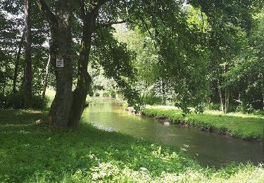 Tocht Stappen Libin - Lesse - Virée à Chène (LI08) - Photo