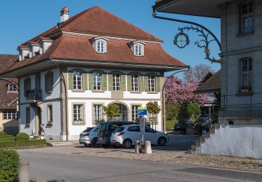 Tour Zu Fuß Dürrenroth - Dürrenroth - Unter Tannen - Photo