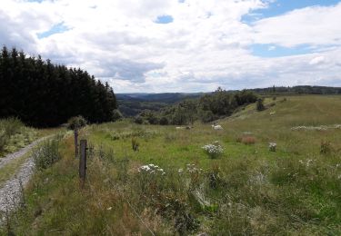 Tour Wandern Hohenfels - Engreux 070720 - Photo