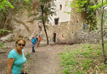 Excursión Senderismo La Roquebrussanne - La grotte des 400 moutons - Photo