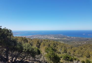 Excursión Senderismo Sanary-sur-Mer - Le Gros Cervea - Photo