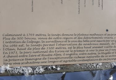 Trail Snowshoes La Motte-d'Aveillans - GNB Signaraux / Senepi / Pruniere - Photo