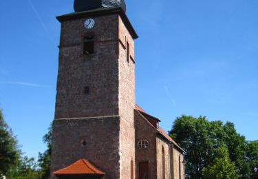 Tocht Te voet Krayenberggemeinde - Rundwanderweg 2 Dorndorf - Photo