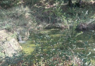 Tour Wandern Le Teil - Rouvière Montagut Serre-Girard 15km - Photo