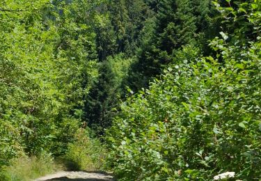 Percorso Marcia Laval-en-Belledonne - LE LAC DE CROP - Photo