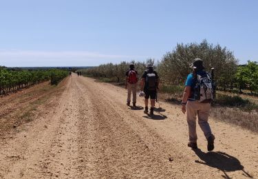 Trail Walking Nimes - Régordane 9 - Nîmes-St Gilles - Photo
