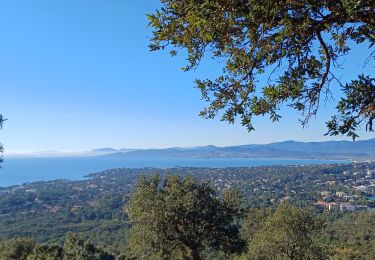 Tocht Stappen Saint-Raphaël - les ferrières depuis le parcours pédestre de St Raphaël - Photo