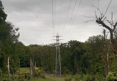 Randonnée Marche Liège - montee par stvlaurent descente par st jacque Streupas.  variante tout bois  - Photo