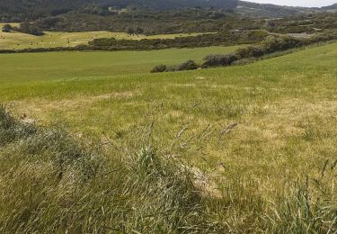 Randonnée Marche Le Tampon - bourg murat la fournaise - Photo