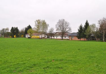 Trail On foot Ruppichteroth - Schönenberg Rundweg 