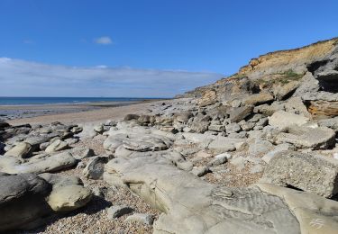 Excursión Senderismo Audresselles - Cran le Noirda - Photo