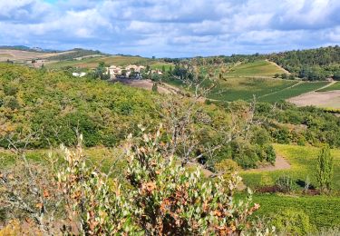 Trail Walking Pauligne - pauligne, Cassagnau, Le Soulié, Pauligne - Photo