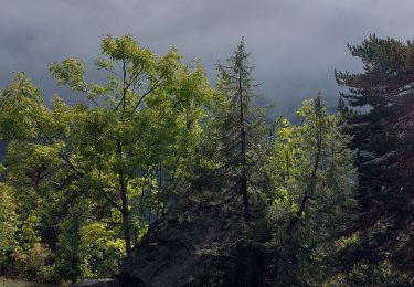 Trail Walking Vallouise-Pelvoux - Vallouise - le rocher pointu - Photo