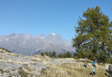 Excursión Senderismo L'Argentière-la-Bessée - Les Têtes et tête d'Oréac  - Photo