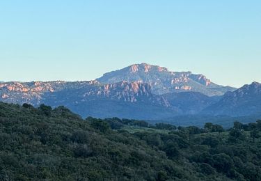Trail sport Saint-Raphaël - Esterel - Les Ferrieres - Cap Esterel  - Photo