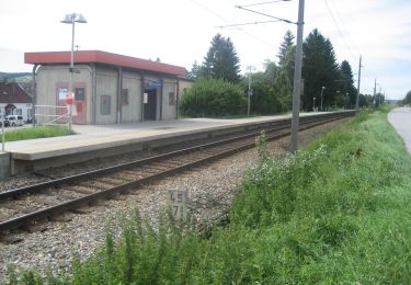 Excursión A pie Gemeinde Hollabrunn - Tut Gut - Rund um den Pankraz - Photo