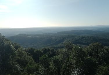 Trail Walking Mas-de-Londres - Mas de Londres - le Pic St Loup du 05-02-2024 - Photo