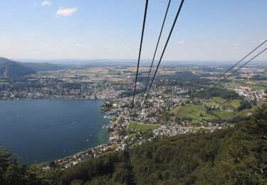 Tocht Te voet Gmunden - Wanderweg 21 Mitterweg - Photo