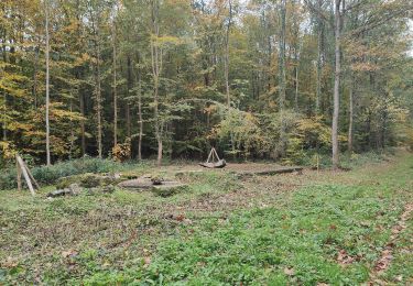 Tocht Te voet Saint-Léger-aux-Bois - La Bienfaisance - Photo