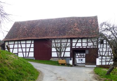 Percorso A piedi Reichelsheim (Odenwald) - Rundwanderweg Reichelsheim 1: Sagenweg Wildweibchenstein - Photo