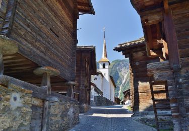 Randonnée A pied Riederalp - Massaweg - Photo