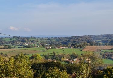 Trail Walking Jourgnac - Puy de Banneix  - Photo