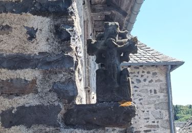Trail Walking Laguiole - le roc des cabres - Photo