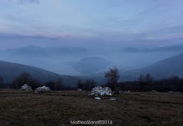 Tocht Te voet Polaveno - Sentiero degli Elfi - Photo