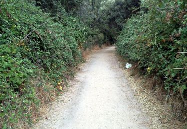 Tour Zu Fuß Collado Villalba - CV 7 - Camino hacia el Telégrafo - Photo