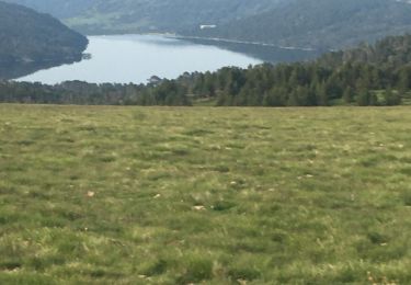 Trail Walking Les Angles - Refuge des Camporells  - Photo