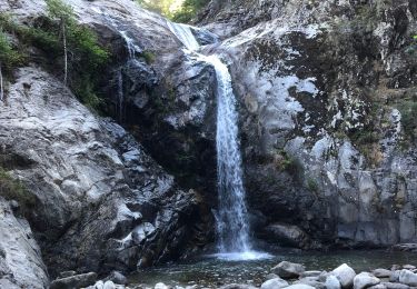 Tocht Stappen Vernet-les-Bains - 20220803 sortie Cascades avec Émilie et Domi  - Photo