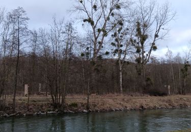 Tocht Stappen Luik - randonnée BS entre l île rousseau et tilff  - Photo