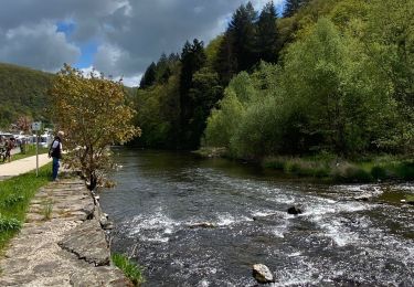 Tour Wandern Tandel - Promenade Bettel - Vianden - Photo