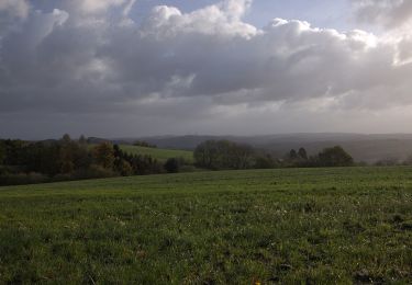 Excursión A pie Breckerfeld - Rundwanderweg Breckerfeld (nach Zurstraße) A8 - Photo