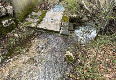 Trail Walking La Bastide - Le Lachens 2024 - Photo