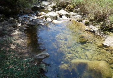 Excursión Senderismo Saint-Jean-d'Arvey - St-Jean-d'Arvey-Thoiry-2021-04-23 - Photo