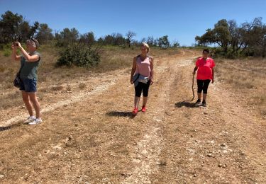 Trail Walking Saint-Cannat - Saint Cannat 01/08/2021 - Photo