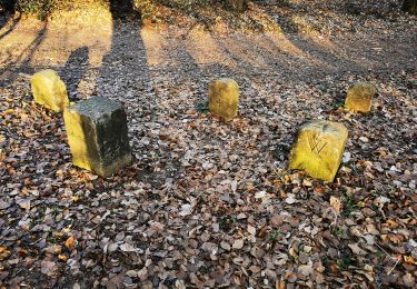 Percorso A piedi Alzenau - Ortswanderweg Alzenau 1 - Photo