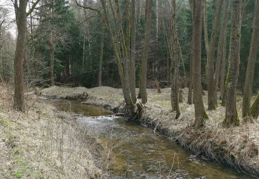 Tocht Te voet Onbekend - Dresdner Heide, Alte 1 - Photo