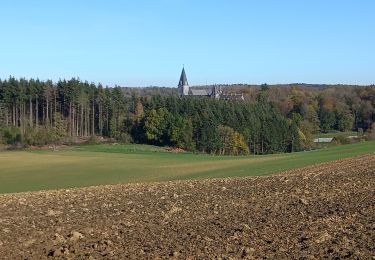 Tour Wandern Anhée - Adeps Sosoye-Maredret 12-11-2022 - Photo