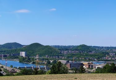 Trail Electric bike Blegny - Par les Houlpais - Photo