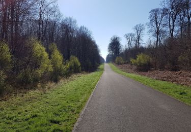 Randonnée Marche Saint-Saëns - 20190404 st saens - Photo